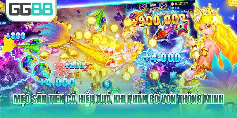 Mẹo săn tiên cá hiệu quả khi phân bổ vốn thông minh