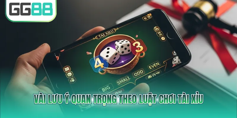 Vài lưu ý quan trọng theo luật chơi Tài Xỉu